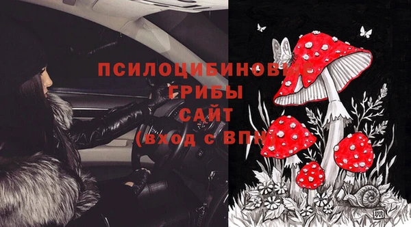 спиды Апатиты